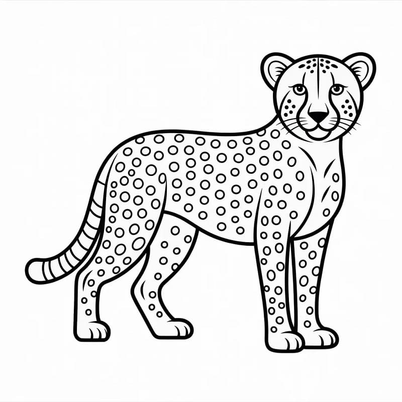 Ghepardo da Stampare da colorare