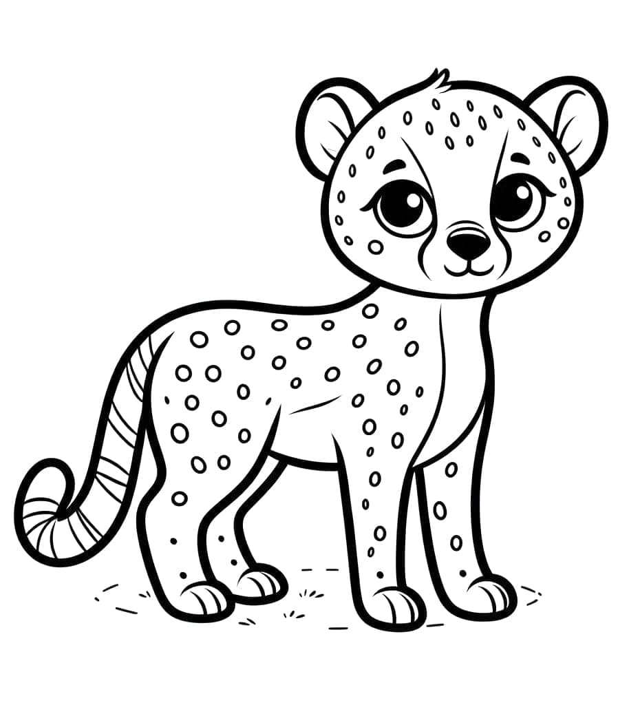 Ghepardo per Bimbi di 5 Anni da colorare