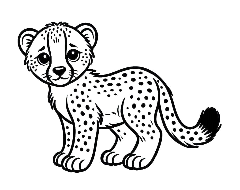 Ghepardo per Bimbi da colorare