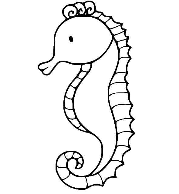 Gratis Cavalluccio Marino Stampabile da colorare