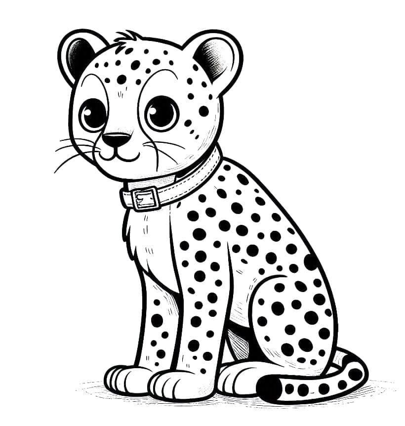 Gratis Immagine Ghepardo da colorare