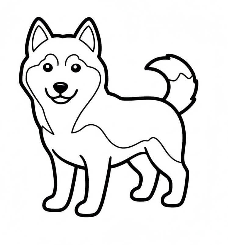 Husky Base da colorare
