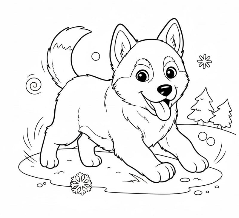 Husky Cartone da colorare