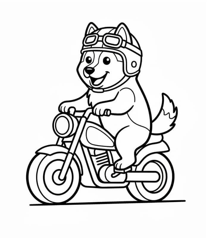 Husky Semplice da colorare