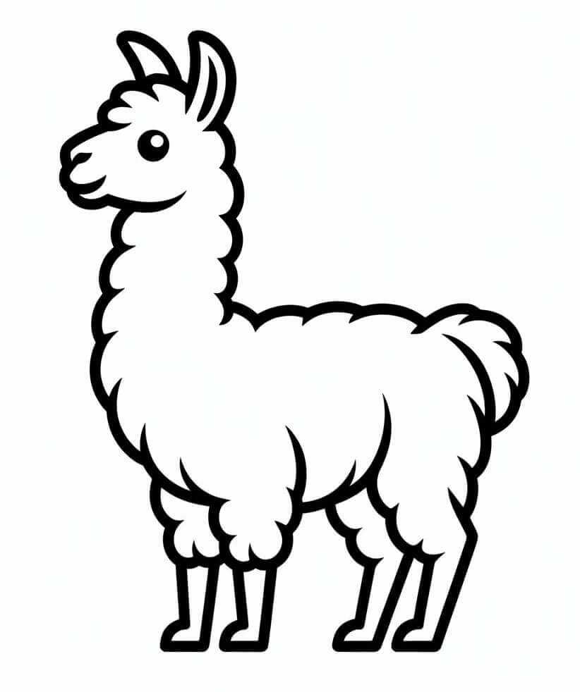 Lama Adorabile da colorare