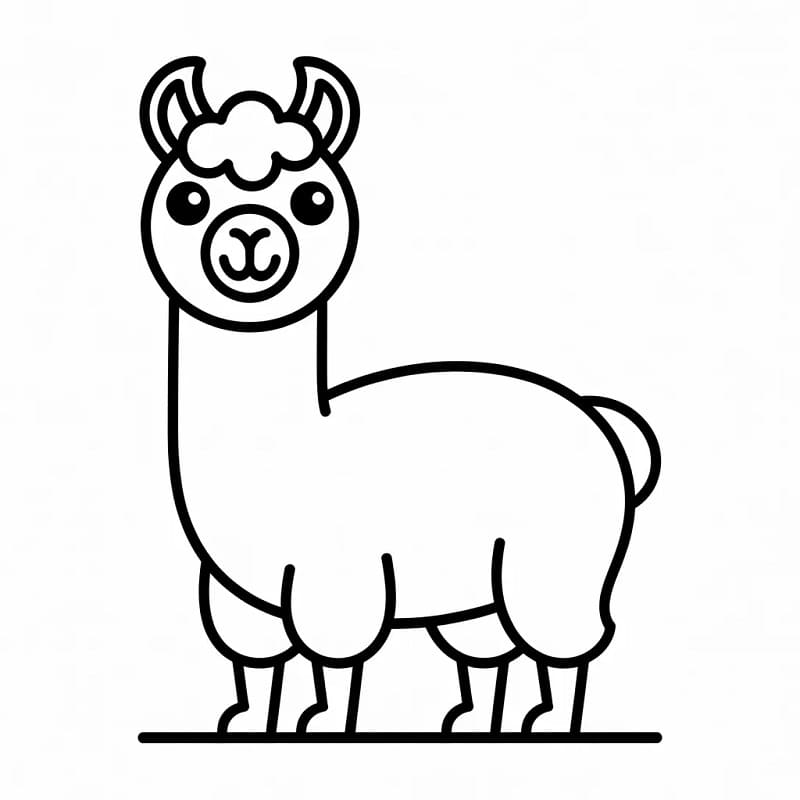 Lama Carina da colorare