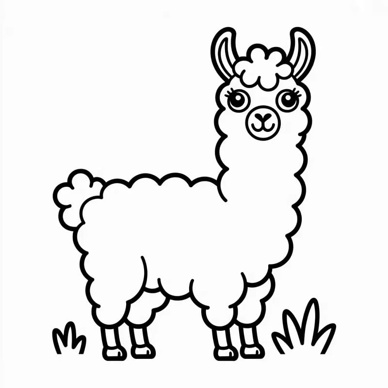 Lama Felice da colorare
