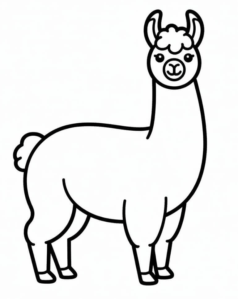 Lama Regalo da colorare