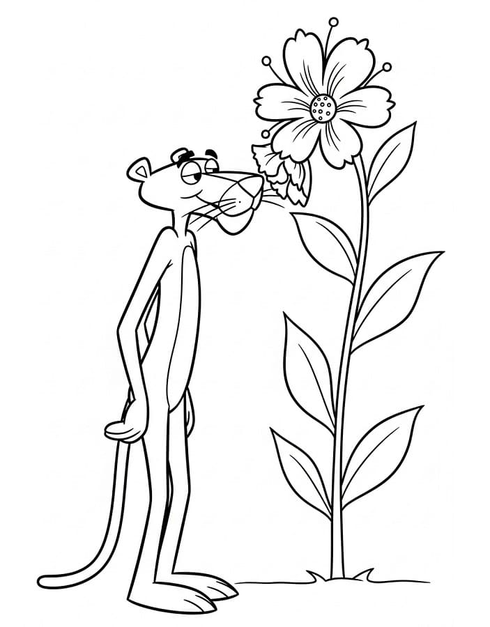 Pantera Rosa con Fiore da colorare