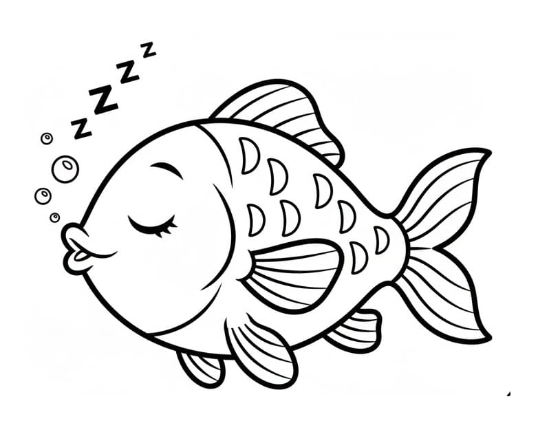 Pesce che Dorme da colorare