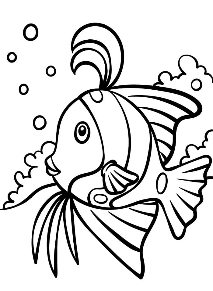 Pesce da Stampare da colorare