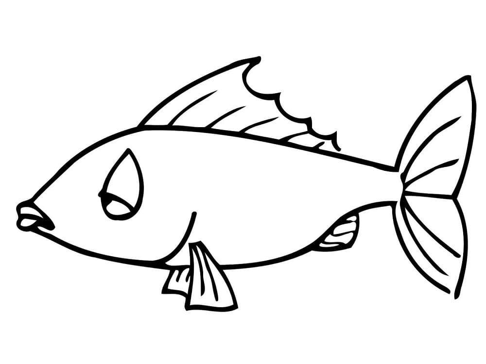 Pesce da colorare