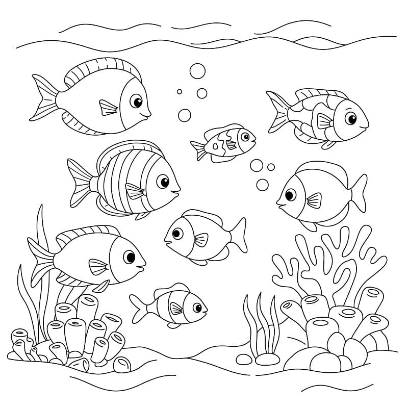 Pesci dell’Oceano da colorare