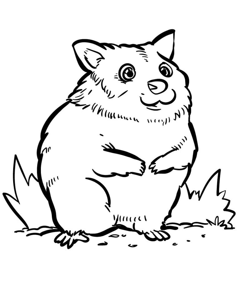 Piccolo Criceto da colorare