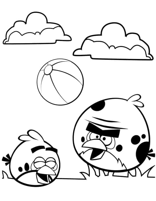 Rosso e Terence Angry Birds da colorare