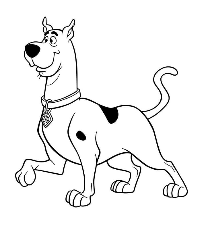 Scooby Doo Regalo da colorare