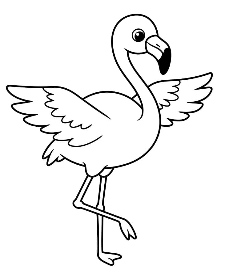 Stampabile Fenicottero Omaggio da colorare