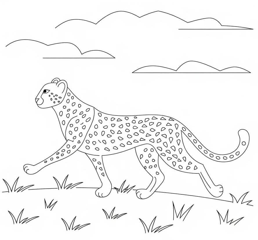 Stampabile Gratis Ghepardo da colorare