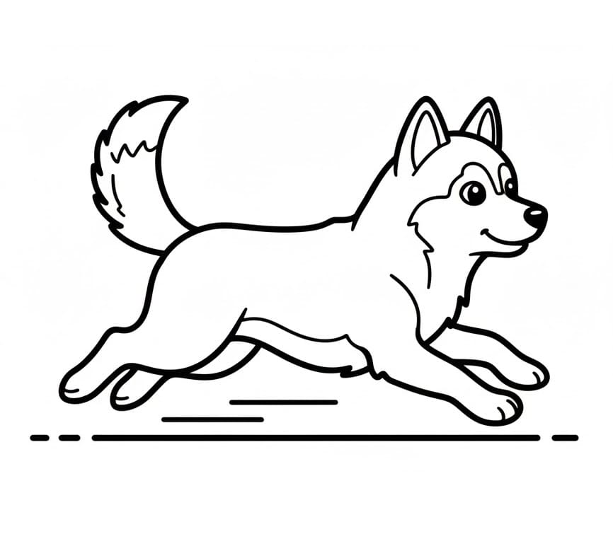 Un Husky Dolcissimo da colorare