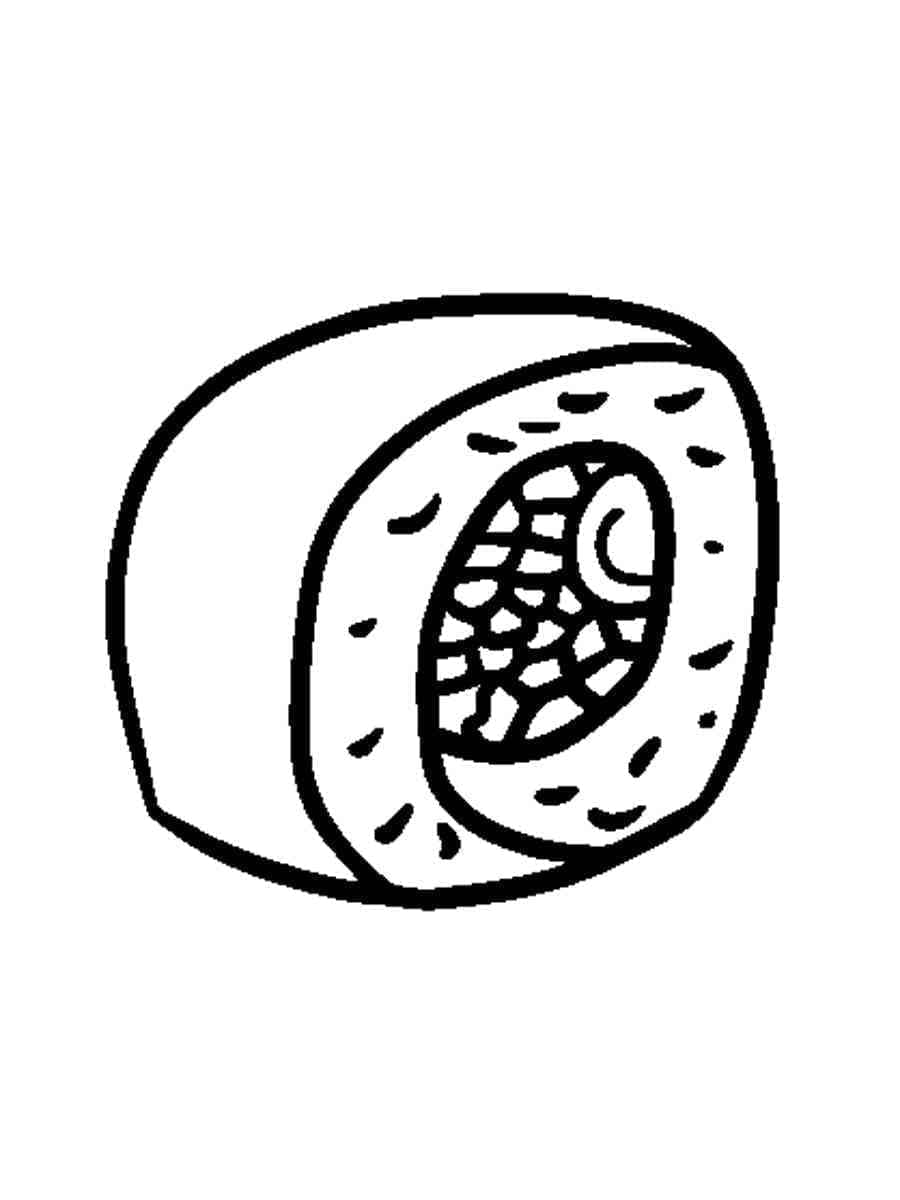 Un sushi da colorare