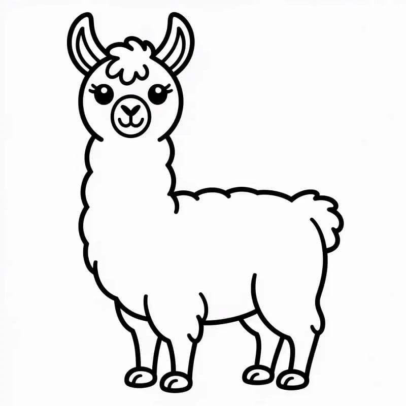 Una Lama Dolcissima da colorare