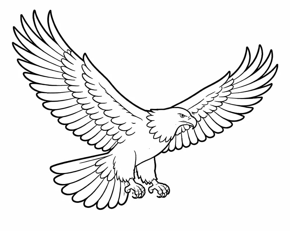 Aquila Animata da colorare