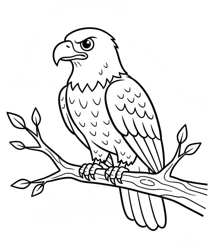 Aquila Cartone da colorare