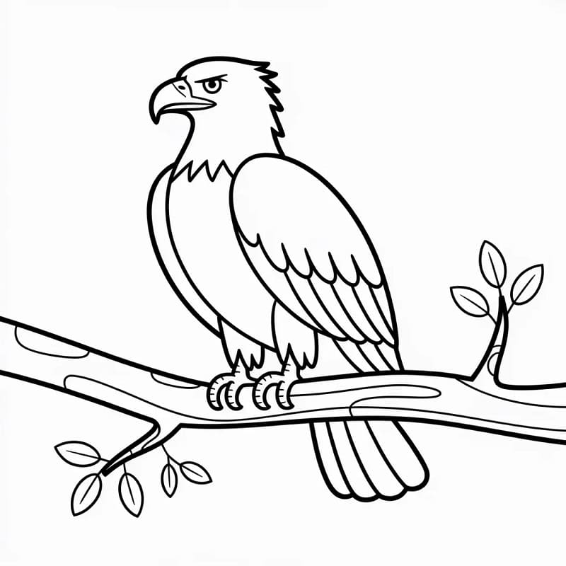 Aquila Regalo da colorare