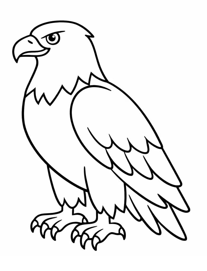 Aquila da Stampare da colorare