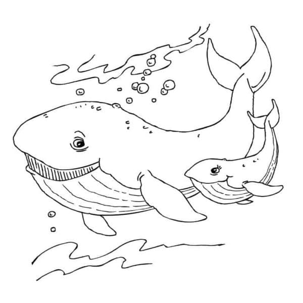 Balena (4) da colorare