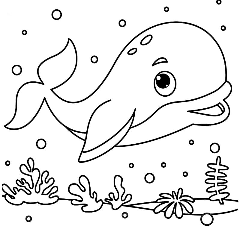 Balena Buffa da colorare