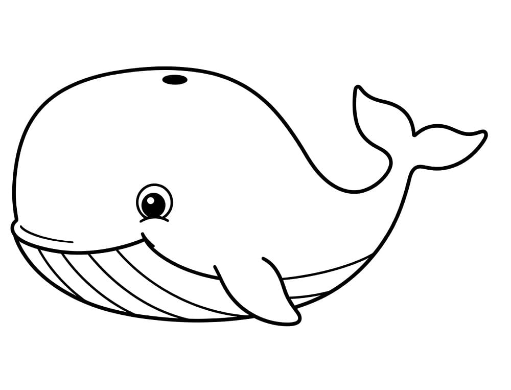 Balena Figa da colorare