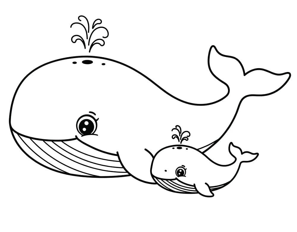 Balena Gigante da colorare