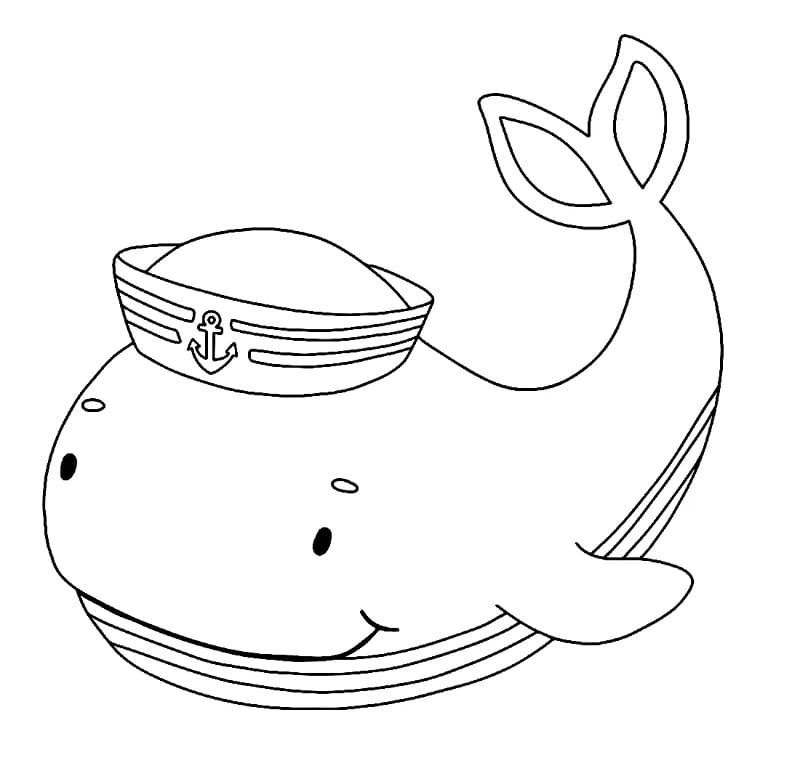 Balena Oceanica da colorare