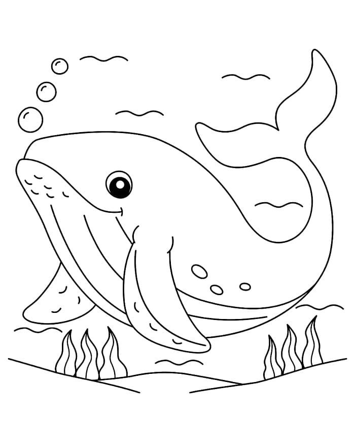Balena Sott'acqua da colorare