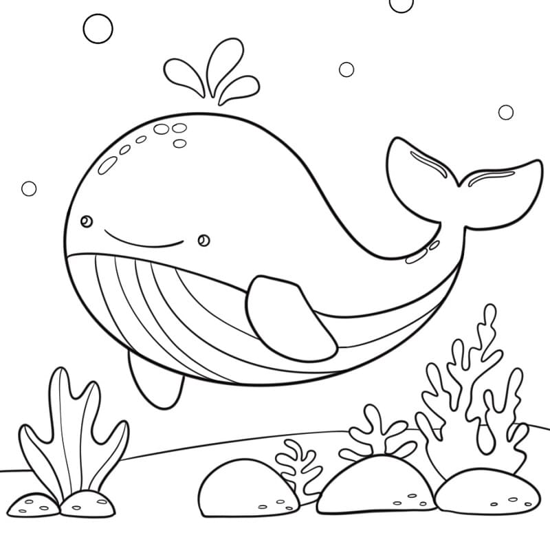 Balena Stampabile da colorare