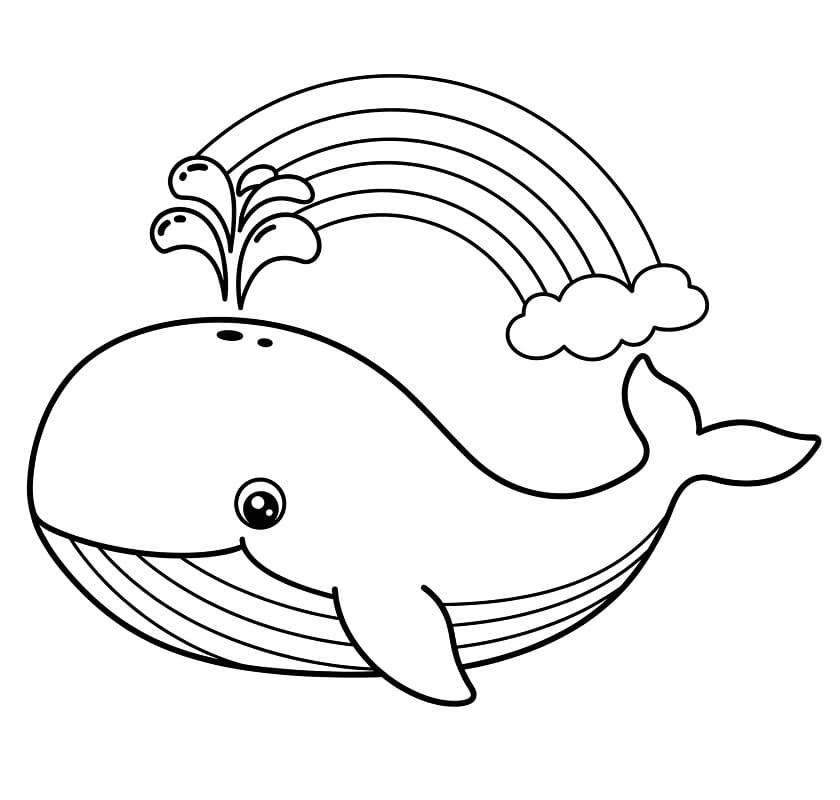 Balena che Nuota da colorare