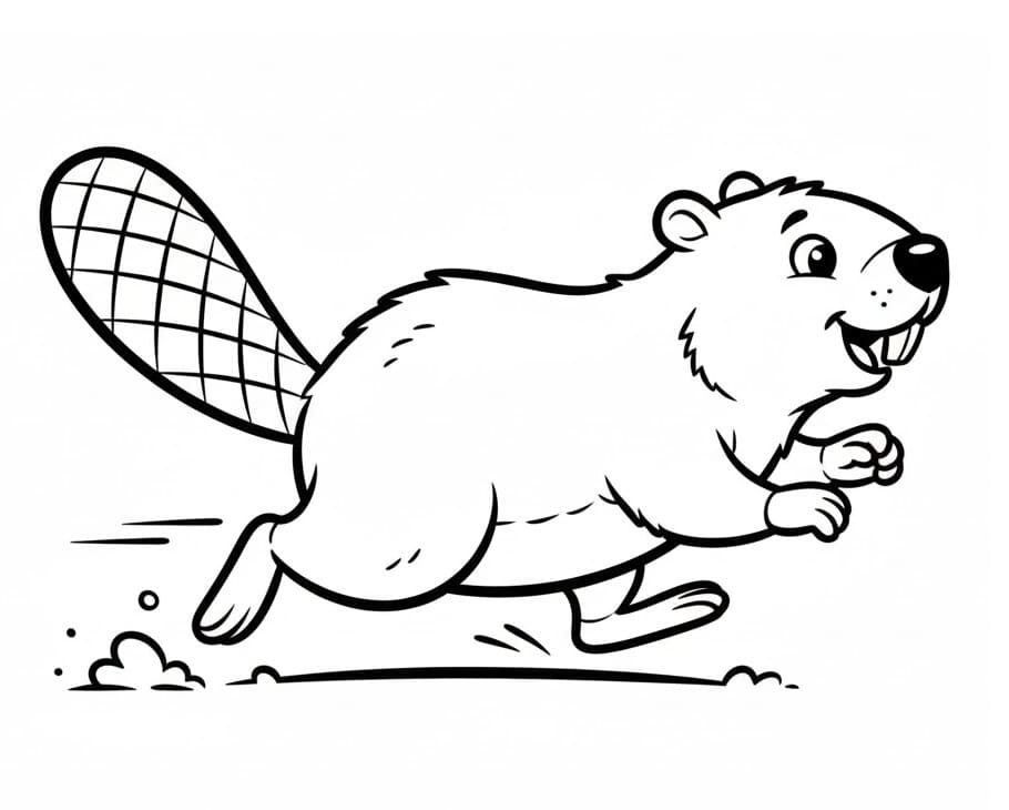 Castoro Regalo da colorare