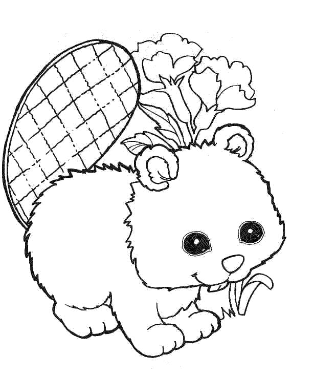 Castoro Stampabile per Bambini da colorare