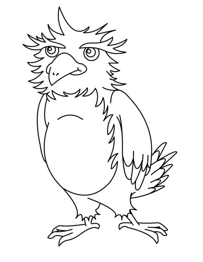 Gratis Immagine Aquila da colorare