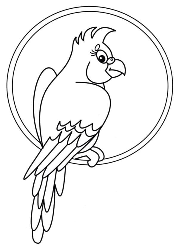 Gratis Immagine Pappagallo da colorare