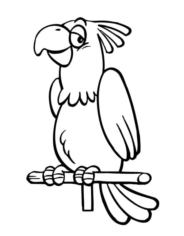 Gratis Pappagallo Stampabile da colorare