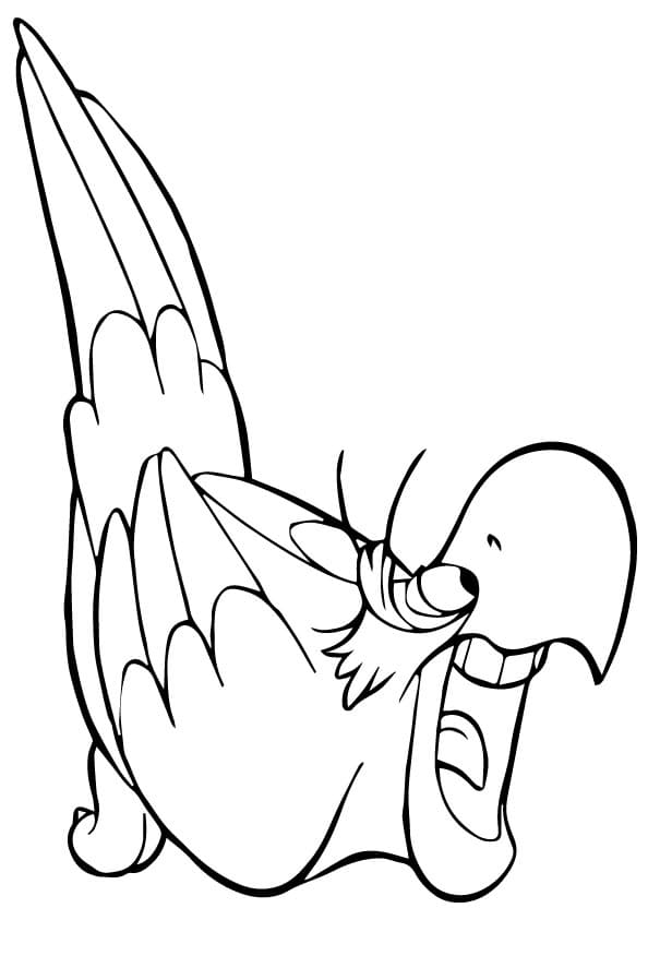 Gratis Pappagallo per Bimbi da colorare