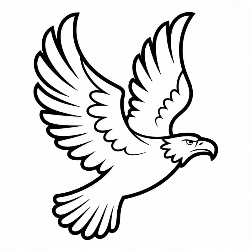 Immagine Aquila da colorare