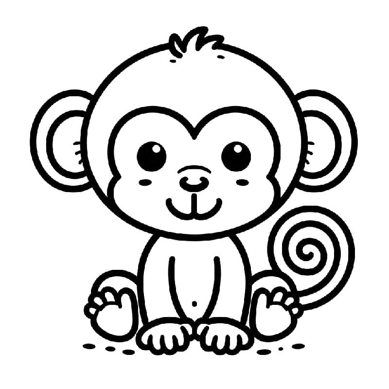Immagine Scimmia da colorare