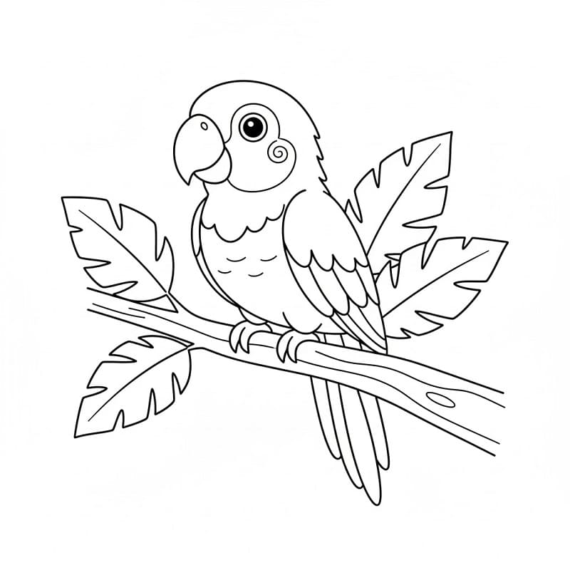 Pappagallo Animale da colorare