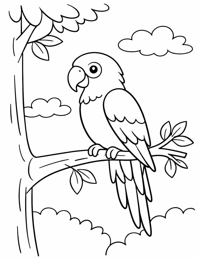Pappagallo Cartone da colorare