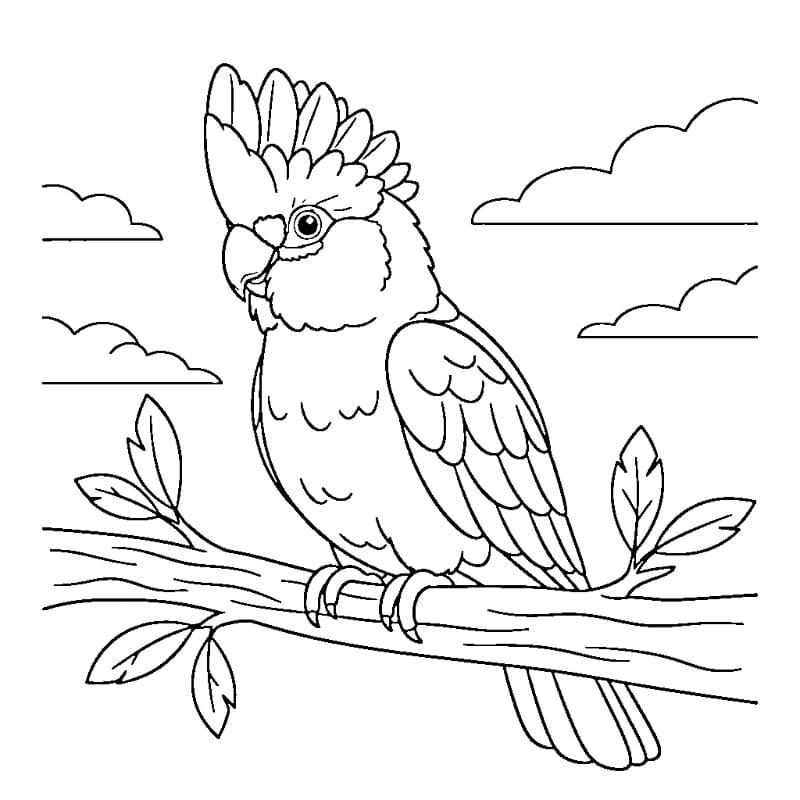 Pappagallo Fantastico da colorare