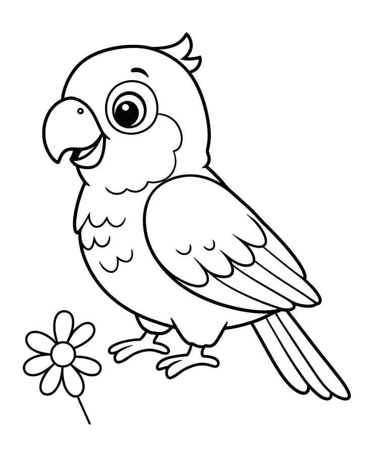 Pappagallo Gratis per Bambini da colorare