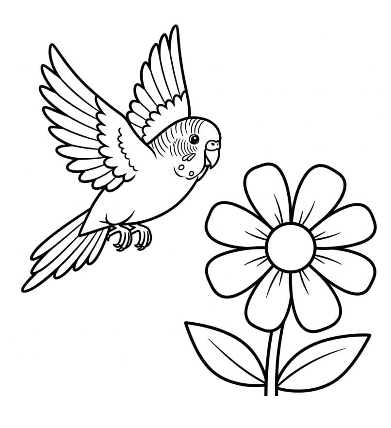 Pappagallo Omaggio da colorare